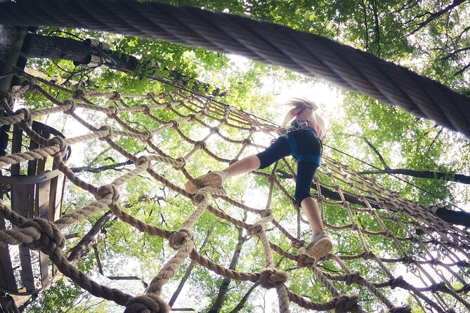 High Ropes and Adventure Tree Top Experience - Your First Stage: The Wee Yin Comfort Zone Course