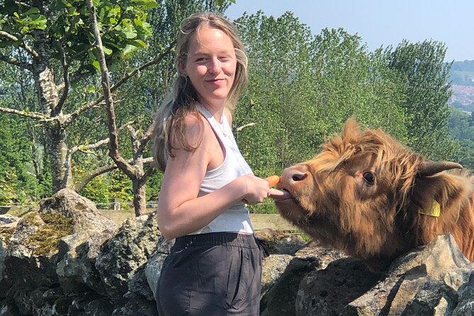 Highland Cows, Walk Alpacas & Scottish Wildlife Centre from Edin. - Food Planning: Snacks Are Included, but Lunch Is on You