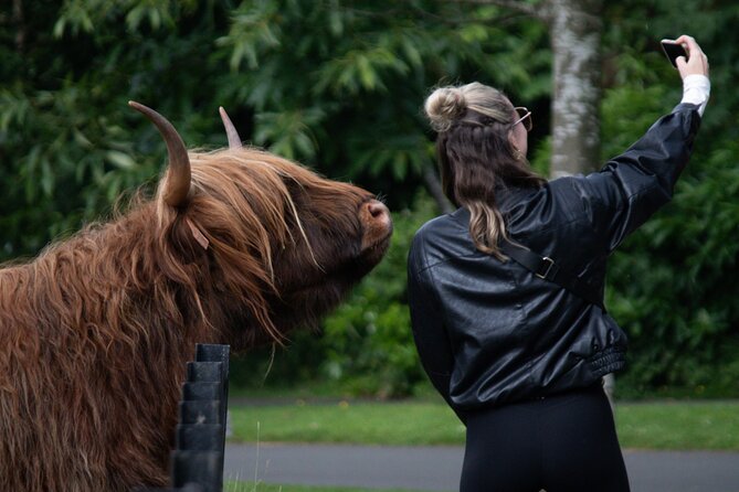 Highlands Cows Glencoe and Castles Private Tour from Glasgow - Rest and be Thankful: the quick panoramic stop that breaks up the drive