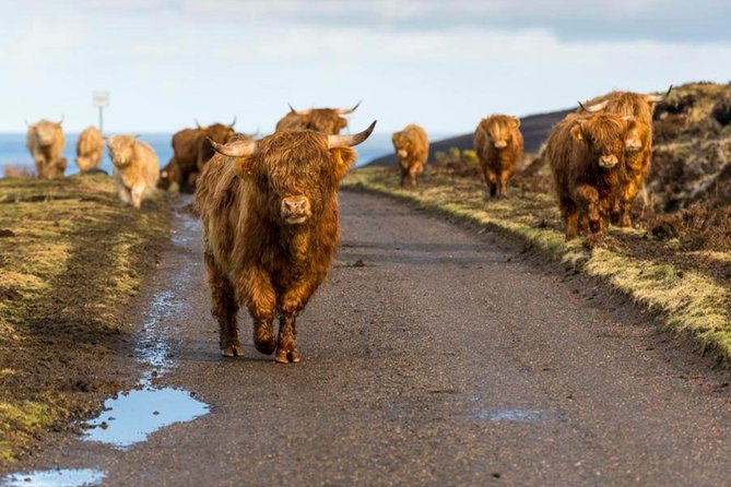 Highlands + Glencoe + Loch Ness Private Tour - Glencoe in 90 minutes: photos first, then a snack stop that keeps you sane