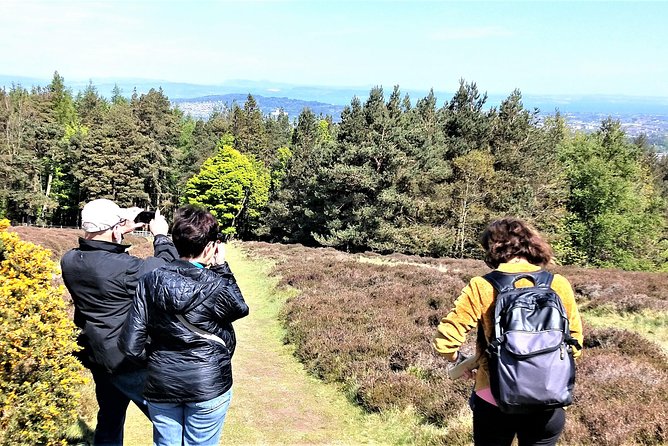 Hill & Nature Hike - Discover Real Edinburgh With a Local Expert - What you learn on the trail: geology, plants, and Scottish context
