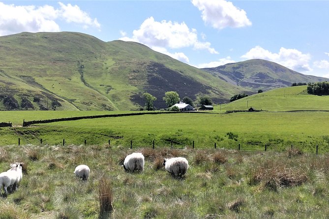 Hill & Nature Hike - Discover Real Edinburgh With a Local Expert - Snacks, water, and the “bring your own” logic