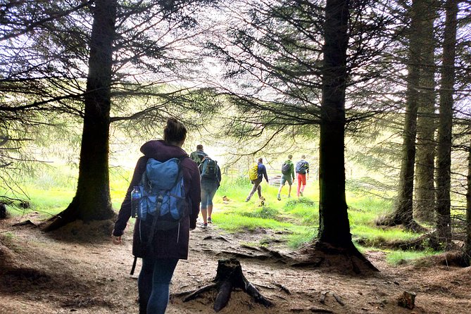 Hill & Nature Hike - Discover Real Edinburgh With a Local Expert - Price and value: why this is not just a hike