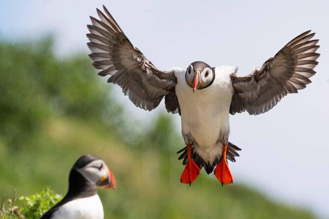 Incredible Scotland - Bespoke Multi Day Private Tours - Price and What $1,944.58 Really Buys for Up to 8