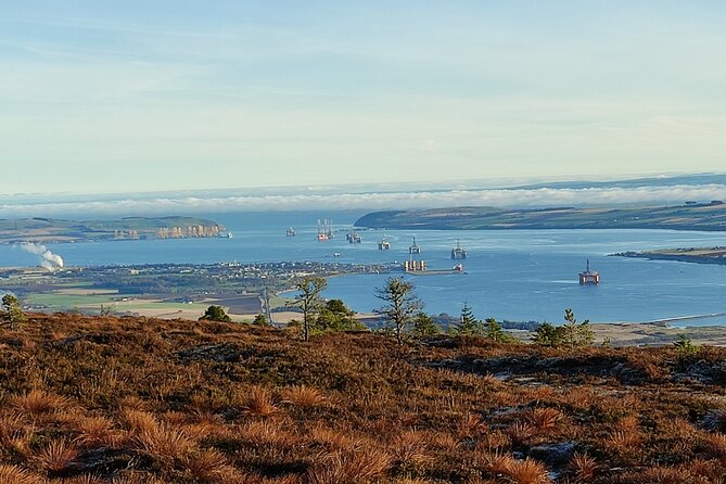 Invergordon cruise excursion Small Group Dunrobin Castle & More - What the small group setup changes for your day