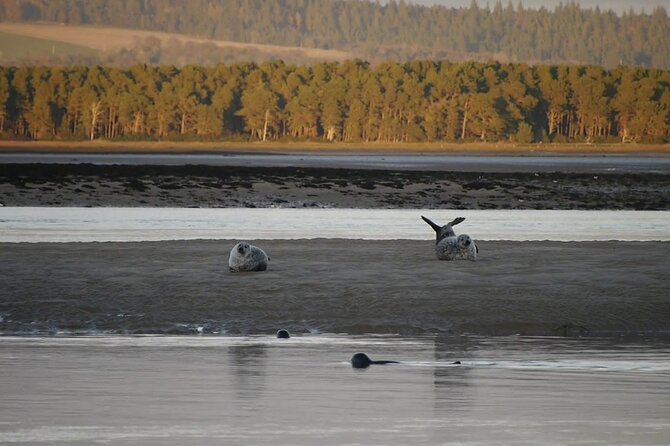 Invergordon cruise excursion Small Group Dunrobin Castle & More - Timing, salmon season, and why weather matters here