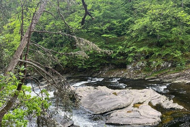 Invergordon or Inverness: Loch Ness Explorer Private Tour - Stop 3: Invermoriston Falls, a short woodland walk to the river