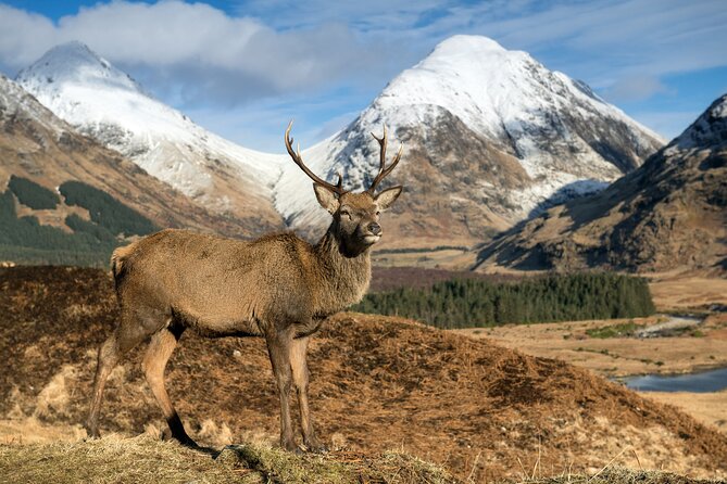 Isle of Skye Day Tour - The value of a private Inverness to Skye day