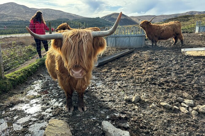 Isle of Skye Highlights - Bespoke Private Tour for up to 7 guests - Kyleakin and the Skye Bridge Pause