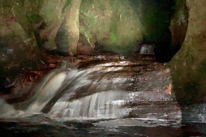 Join the Dark Side of Magical Nature - Two hours in the gorge: what you will actually do on foot
