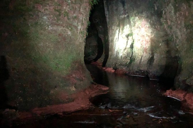 Join the Dark Side of Magical Nature - Who should book this tour, and who might skip it
