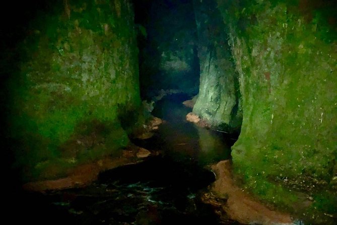 Join the Dark Side of Magical Nature - Small-group tour max eight: why the group size matters here