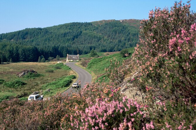 Loch Lomond National Park & Stirling Castle Full Day Tour - Key highlights to know before you go