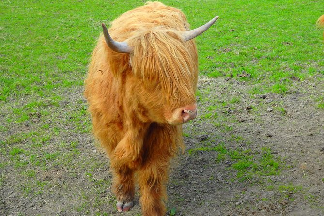 Loch Ness & Culloden Battlefield Private Tour from Inverness - Clava Cairns: Outlander fans and history lovers share the same awe