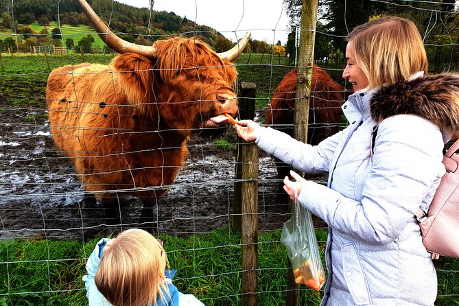 Loch Ness, Glencoe and the Highlands Private Day Tour - Trossachs Woollen Mill at Kilmahog and the Highland cow moment