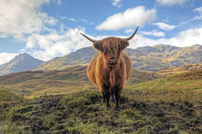 Loch Ness, Glencoe & the Highlands Guided Day Tour from Edinburgh - Fort William and the Ben Nevis area: lunch time plus Great Glen scenery