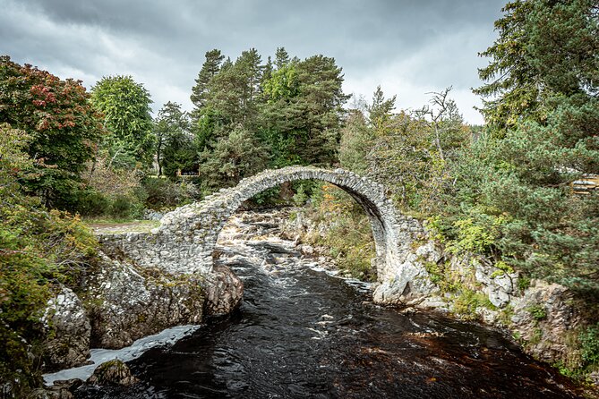 Loch Ness Private Day Tour up to 8 passengers - Loch Ness Time: Nessie Spotting, Urquhart Castle, and a Gin Stop