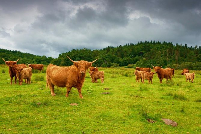 Loch Ness & Urquhart Castle Private Day Tour from Edinburgh - Why this private Loch Ness and Urquhart Castle day works from Edinburgh