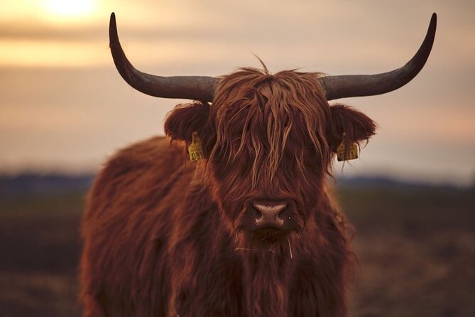 Luxury Private Tour of The Highlands & Loch Ness from Edinburgh - The Trossachs to Glencoe: national park vibes without the chaos