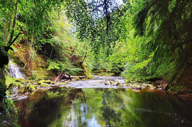 North Day Tour: Dunrobin Castle, Glenmorangie, Dornoch and More - Photo pause at Dornoch Firth: lochs, mountains, wildlife, and Carbisdale Castle