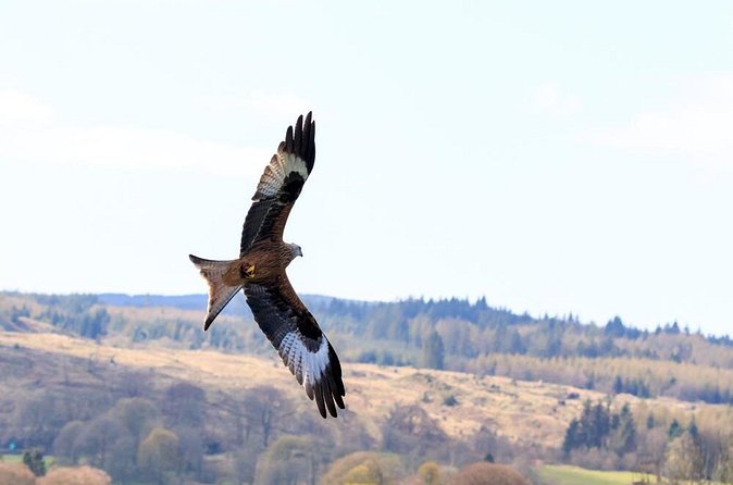 North Highlands from Inverness - Stop 2: Dornoch Firth viewpoint, Millionaire’s View