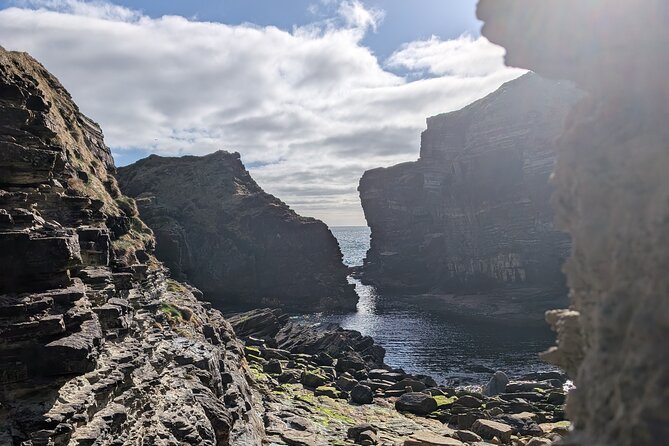 Orkney Echoes Private Half Day Tour - Following Vivian’s lead: service touches that matter