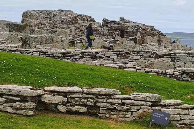 Orkney Islands Private Full Day Tour - Yesnaby Cliffs: wind, sea stacks, and seabird watching