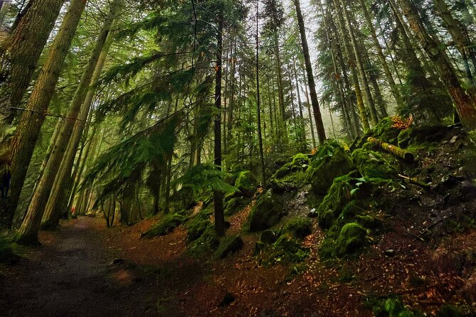 Perthshire Highlands: Private Land Rover Tour - Pitlochry: a simple 30-minute reset for lunch or snacks