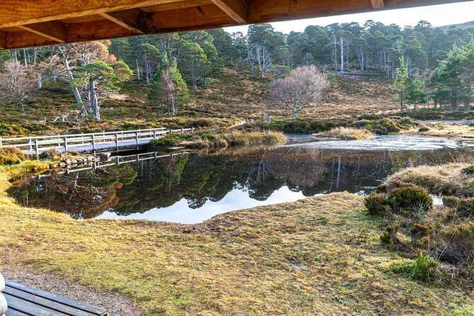 Private Balmoral Walking Tour to Queens Secret Cabin & the Castle - Your 5-mile walk: what it feels like in real life