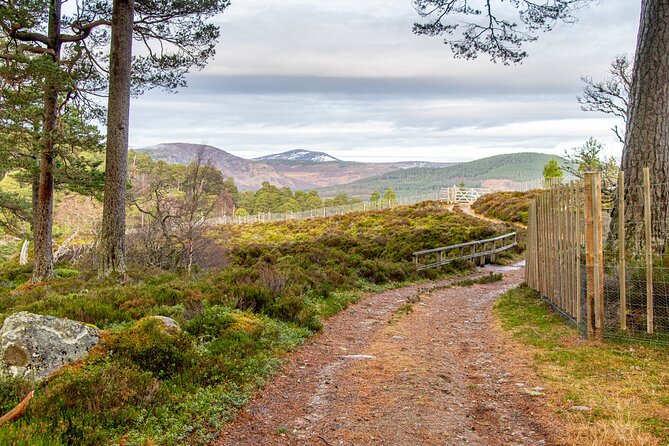 Private Balmoral Walking Tour to Queens Secret Cabin & the Castle - If Balmoral is closed, Royal Lochnagar Distillery is a smart swap