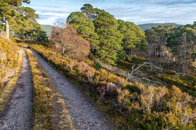 Private Balmoral Walking Tour to Queens Secret Cabin & the Castle - Timing and logistics from 8:00 am, plus meal reality