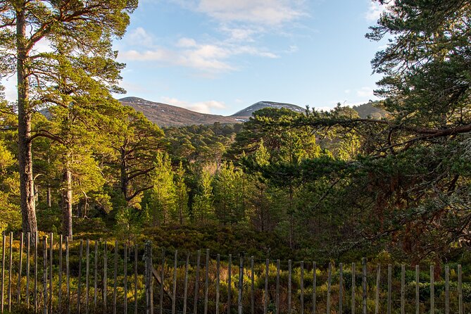 Private Balmoral Walking Tour to Queens Secret Cabin & the Castle - Invercauld Bridge sets the royal tone before the cabin