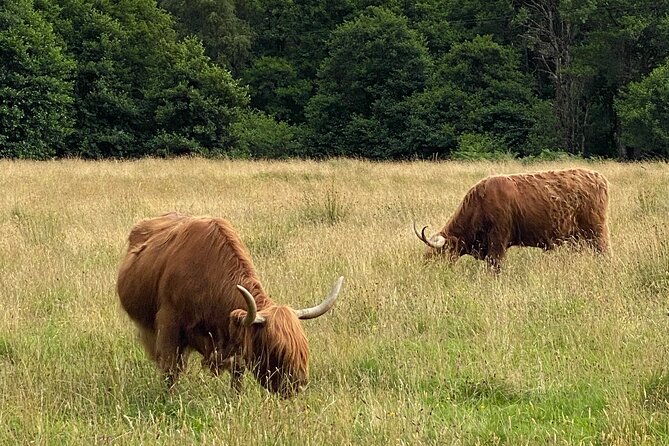 Private Day trip to Loch Ness and Scottish Highlands via Glencoe - Private Pickup and a Tight 12-Hour Route That Actually Works