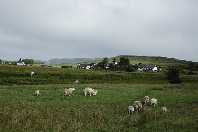 Private Day trip to Loch Ness and Scottish Highlands via Glencoe - What the Private Format Really Changes for Your Day