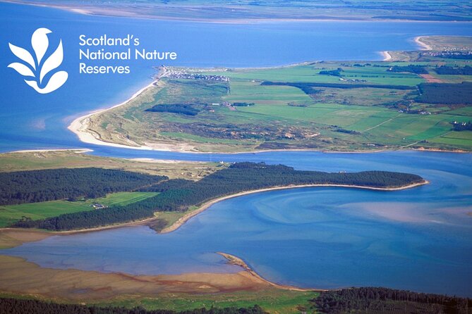Private Driving tour from Invergordon Port to Dunrobin Castle - Key highlights you’ll care about