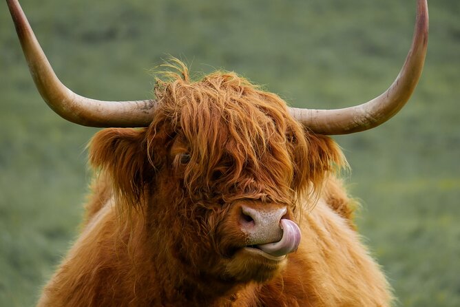 Private Luxury Mini Highlands Tour From Edinburgh - Braveheart - Callander and the Trossachs vibe: the calm between big sites