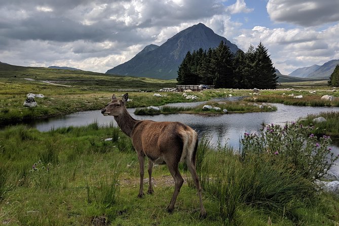 Private One Day Highlands Tour of Scotland - West Highlands to Glencoe and the Three Sisters Finale