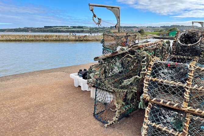 Private St Andrews Day Tour from Edinburgh - East Neuk of Fife Return Route: A Scenic Bonus Without the Pressure