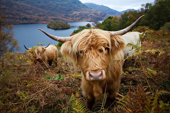 Private Tour of Loch Ness, Glencoe and Highlands from Edinburgh - Dalwhinnie and the WWII stop with Ben Nevis in view