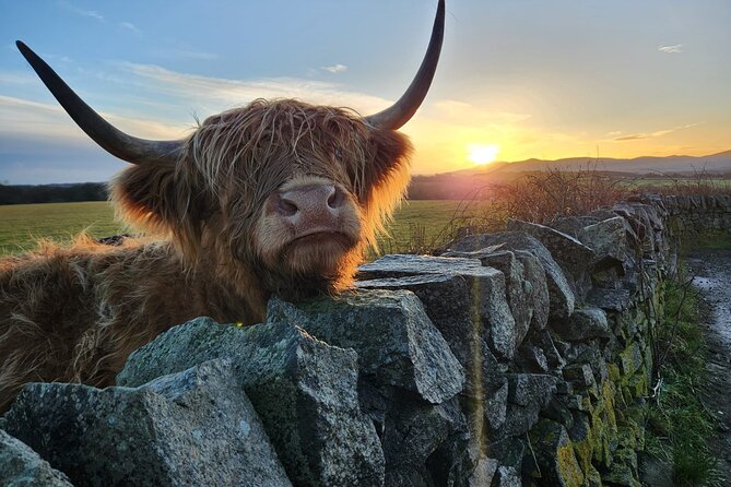 Private Tour of the Scottish Highlands from Edinburgh - Key things I’d circle on your Highlands checklist