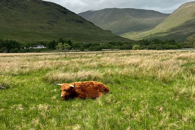 Private Tour to the Stunning Scottish Highlands & Glencoe - Inveraray on Loch Fyne: town time, castle views, and pub culture