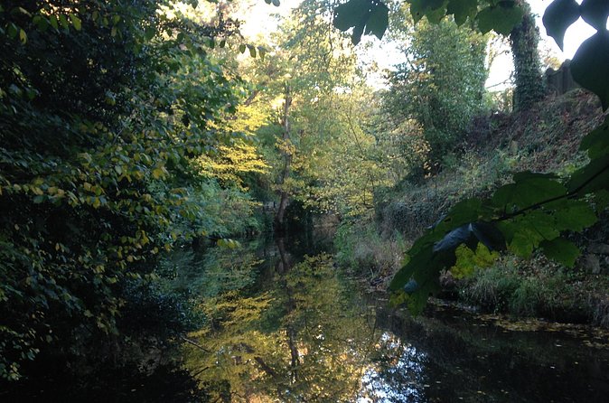 Private Walk: Country in the City - Royal Botanic Gardens, Then Back Through Georgian New Town