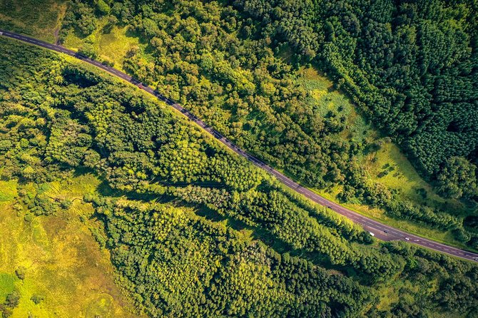 Ricky's gateway to the Highlands Tour - Forest rhythm through the Trossachs and around Loch Chon
