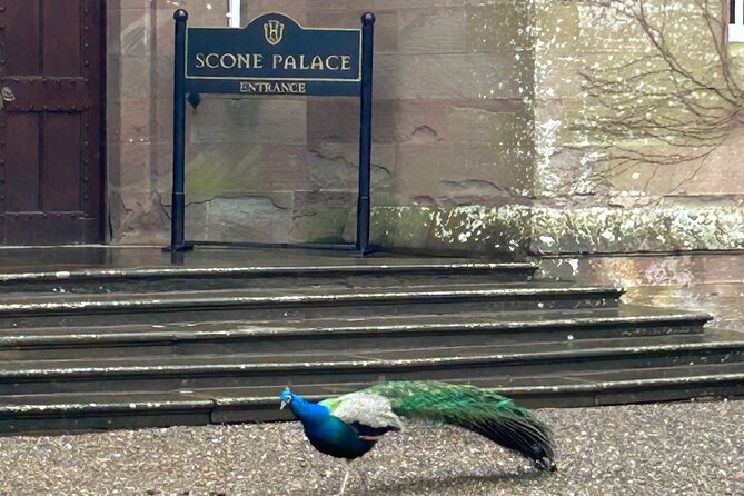 Scone Palace, Nature, Pitlochry, Whisky Experience from Glasgow - The Hermitage, Black Linn Falls, and Ossian’s Hall illusions
