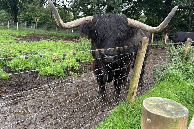 Scottish Highlands- One day Tour - Greenock pickup at 8:00, and why small-group matters