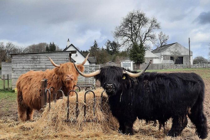 Scottish Whisky Distillery & Fairytale Dunrobin Castle - Stop 2: Balblair Distillery, the whisky centerpiece of the day