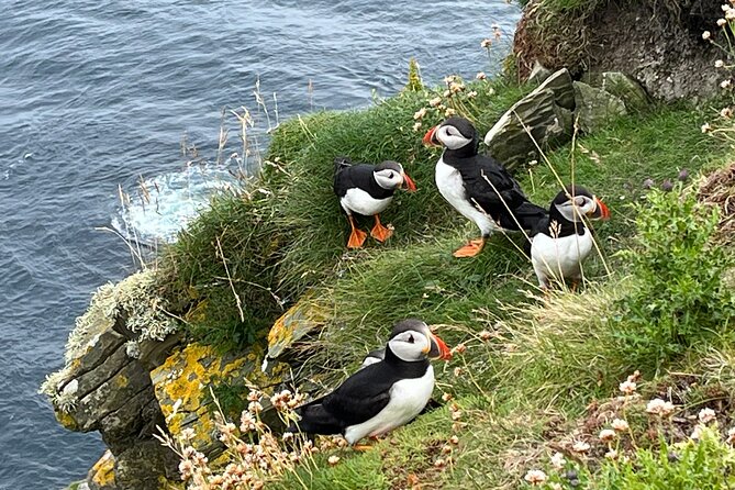 Shetland South Mainland Tour St Ninian Isle and Jarlshof - Key highlights before you go