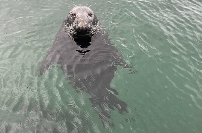 Shetland South Mainland Tour St Ninian Isle and Jarlshof - Price, timing, and whether it is worth $832.15