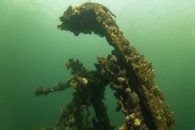 Shipwreck Hunters - The MV Captayannis stop: what up-close really means