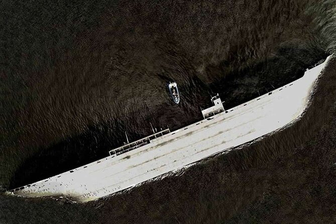 Shipwreck Hunters - Above-water wildlife spotting: seals and porpoises, not just ship parts
